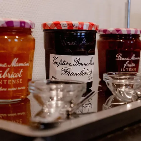 色赖斯南特亚特兰蒂斯旅馆 公寓式酒店 圣埃尔布兰