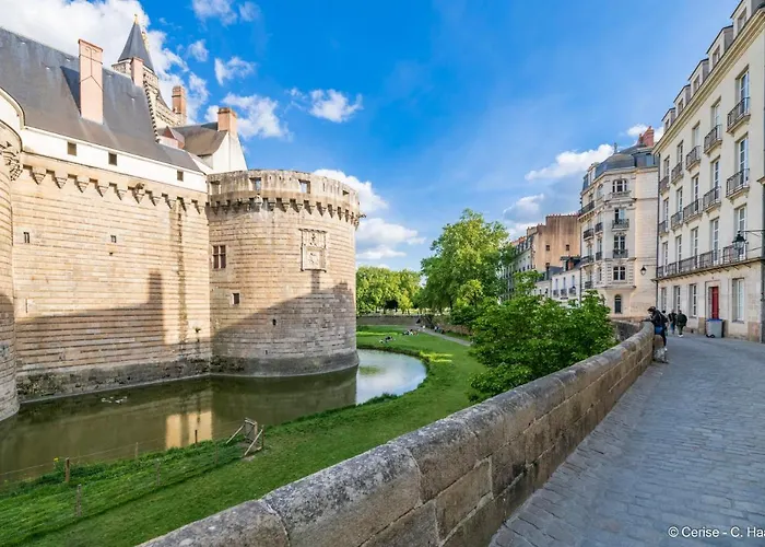 Cerise Nantes Atlantis Saint-Herblain